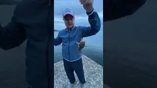 Ну это первая скорпена после первой,но лучше той!