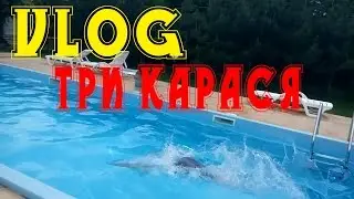 Vlog: Три карася
