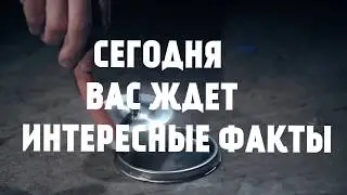 Интересные факты#1