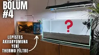 BİTKİLİ LEPİSTES AKVARYUMUNDA DEĞİŞİKLİK ! #akvaryum #aquascape #bitkiliakvaryum