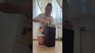 Сажаю дачный цветок у себя дома 😅