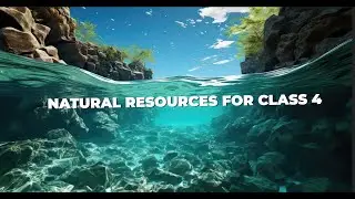 CHAPTER - NATURAL RESOURCES | CLASS - 4 | EVS