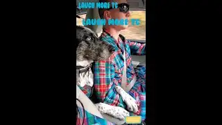 The friends never bear to grow up #7- Funny dogs - Funny animal - Laugh more TG