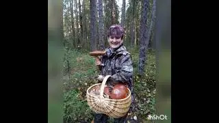 Завершение грибного сезона 2023 г.