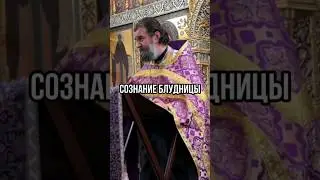 Сознание блудницы. Отец Андрей Ткачёв