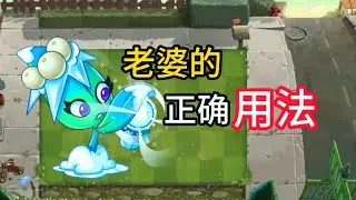 PVZ：植物评测，槲寄冰仙子，老婆真不是花瓶！