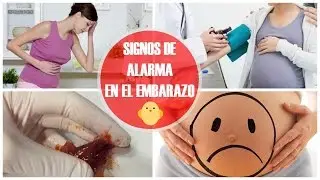 SÍNTOMAS DE ALARMA EN EL EMBARAZO | Sangrados, infecciones, preeclampsia...