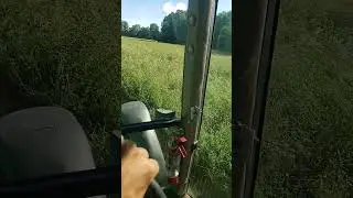The Day We've Waited For. mowing hay