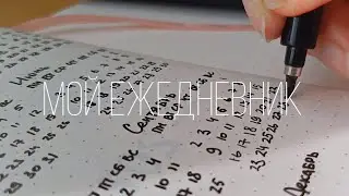 Bullet journal и 2024 год | your three hours