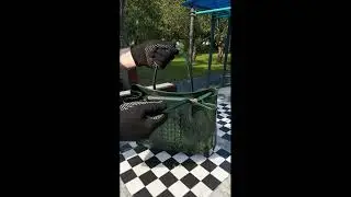 Сумка женская зеленая из кожи крокодила