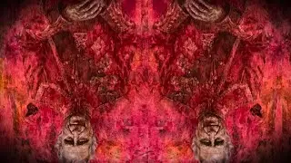 What Do You See?