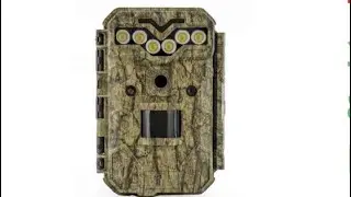 FOTOPASCA KEEPGUARD KG795W - Diviak lesný (nočný záber)