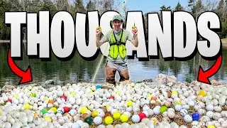 RARE Golf Ball Hunting for Crazy Expensive Lost Treasures!