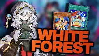 White Forest/White Woods Combos Spreadsheet And DeckList!  白き森「しろきもり」