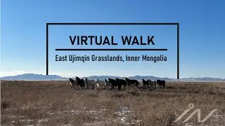 Landscape Nature Walk / East Ujimqin Grasslands, Inner Mongolia, China (Footage)