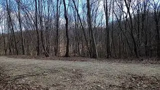 Șopa forest sounds - ASMR 