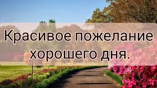 Красивое пожелание хорошего дня.