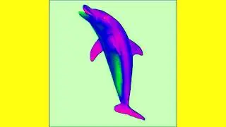 sea animals for kids Effects (Ecuavisa Csupo Effects)
