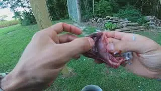 CLEANING DOVES in less than a minute