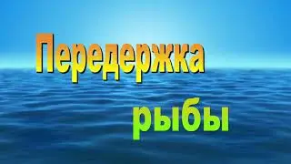 Передержка рыбы