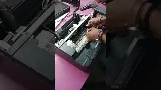 black print missing
