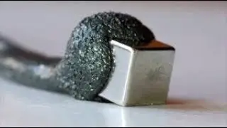 Make a space eating bacteria virus!