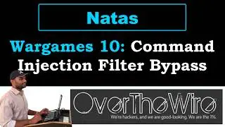 Natas 10 | Command Injection Filter Bypass | OverTheWire Wargames