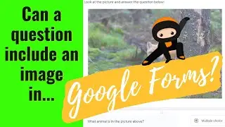 How To Add An Image Into A Question In Google Forms