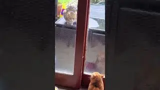 Bert's nemesis returns ... again