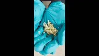 Tech Tip: Preventing iso crystals in your hose line