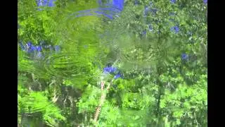 Orlando Gibbons, "The Woods So Wild"