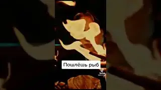 12 мая 2022 г.