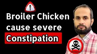 Broiler Chicken Cause Severe Constipation