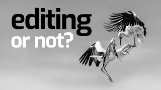 Image editing or not - how far should we go as photographers?