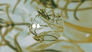Lugovskiy - Still Believe