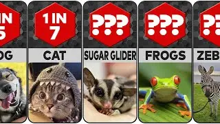 Probability Comparison Pets - Pet Popularity