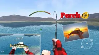 PERCH 3.21KG || ULTIMATE FISHING SIMULATOR