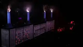 Roger Waters - Dogs