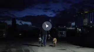 DAF World Animal Day   16 9 no subs