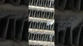 latest NYK AC