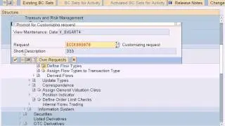 SAP Treasury and Risk Management Configuration   Define Flow Types