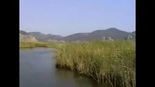 Dalyan / Turkey - Taxi Boat (Dalyan River)