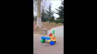 HER EVE LAZIM BÖYLE BİR HAYVAN ÇOK AKILLI.
