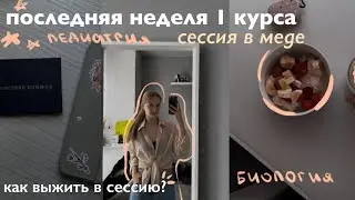 ЗАКАНЧИВАЮ 1 КУРС || ВЫЖИВАНИЕ В СЕССИЮ || ЭМОЦИИ,УСТАЛОСТЬ 🥹🥲