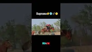 В комментариях оставляем флаг 