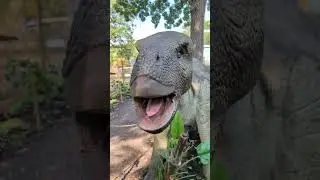 dinosaur alive at como zoo
