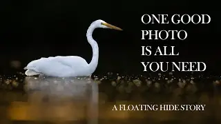 Getting That One Good Photo
