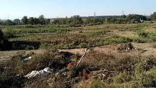 Свалка ул. Свободы, город Благодарный