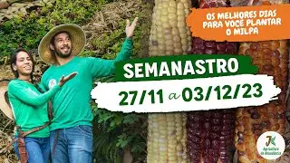 OS MELHORES DIAS PARA PLANTIO DO CONSÓRCIO MILPA - SEMANASTRO - 27 A 03/12