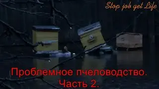 Проблемное пчеловодство.  Часть 2